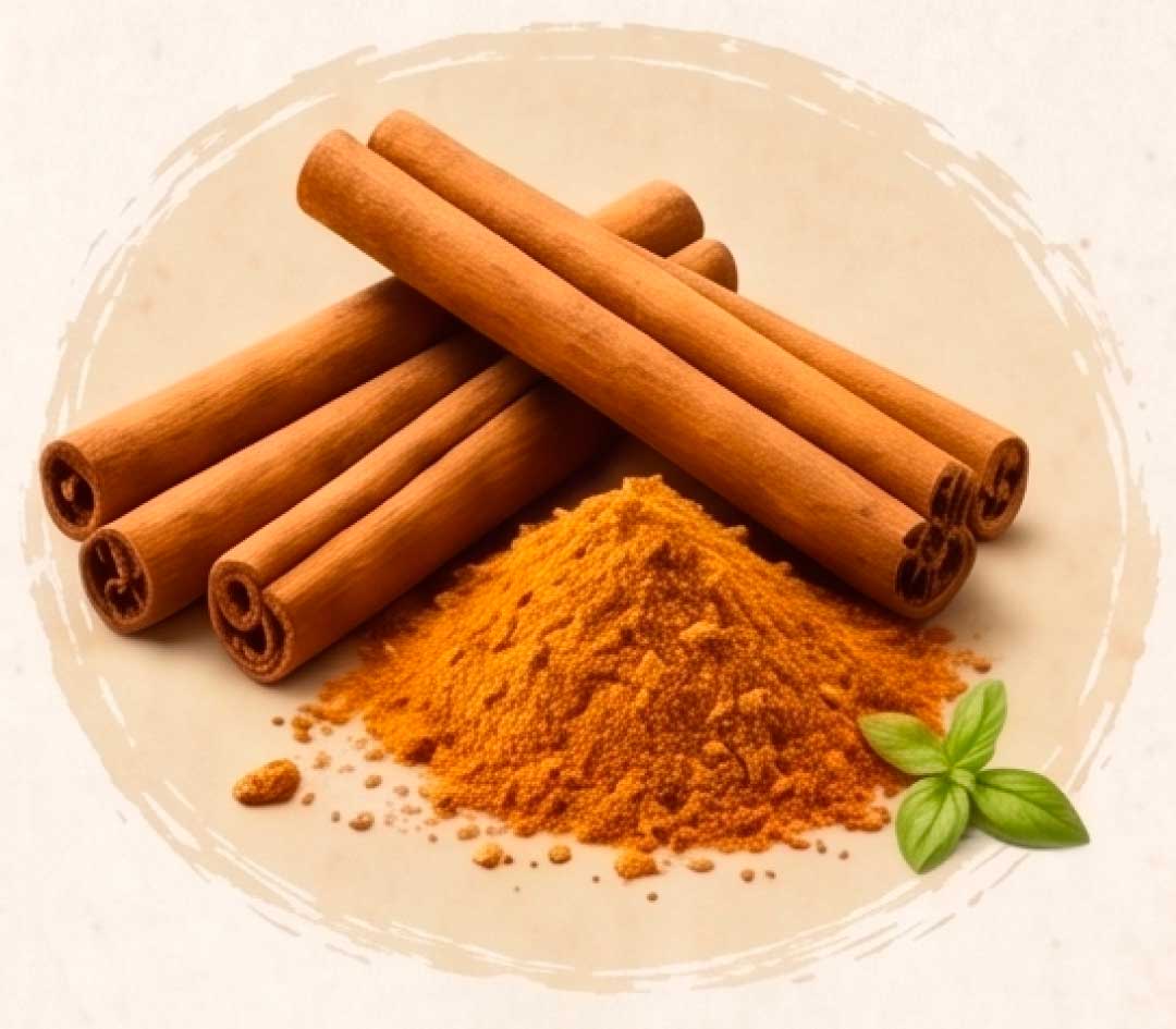 Canela